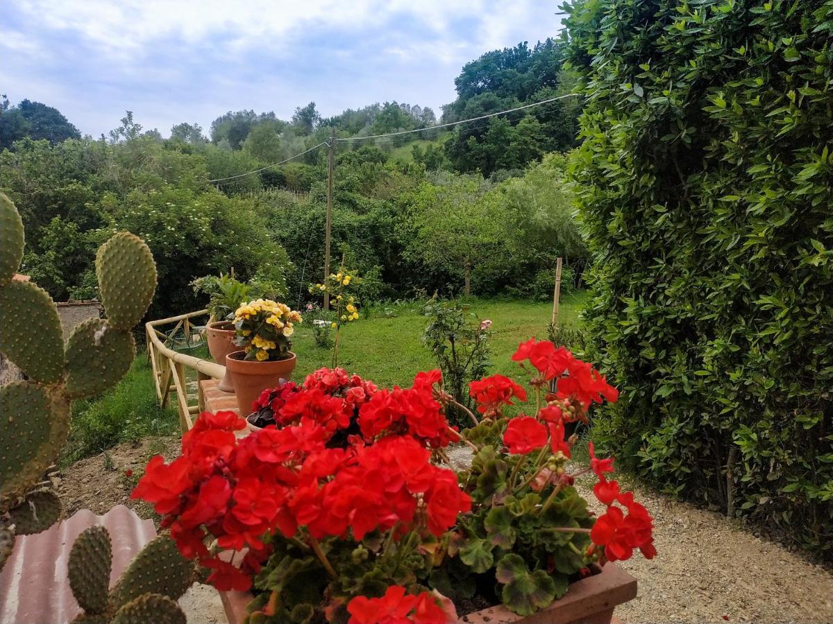 Locanda Prato D'Era 볼테라 외부 사진